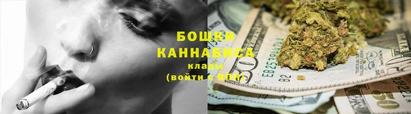 ГАЛЛЮЦИНОГЕННЫЕ ГРИБЫ Алексин