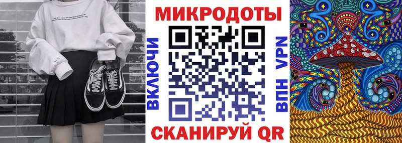 дарнет шоп Курчалой Псилоцибиновые грибы Cubensis
